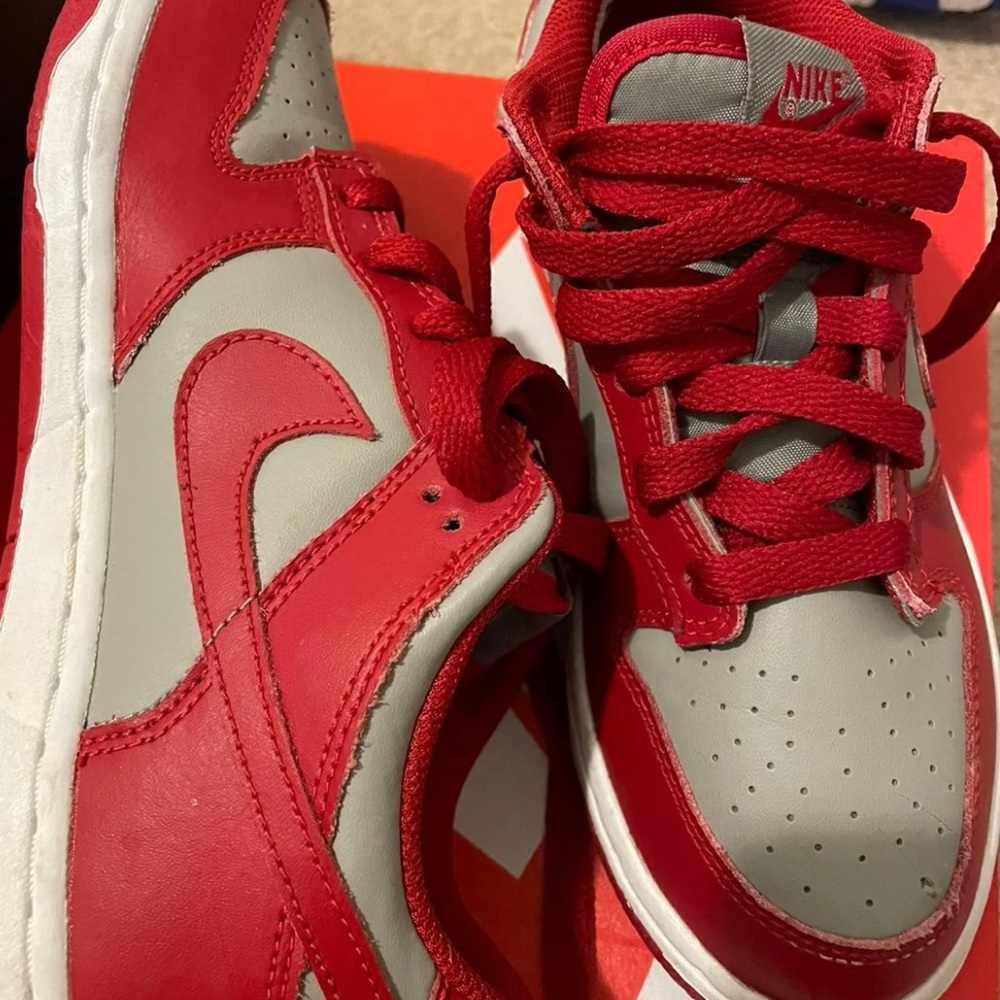 Unlv dunks